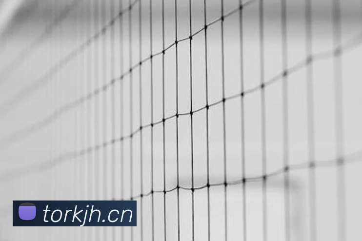 九游j9官网首页进入客服品牌故事